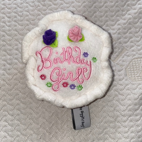 BIRTHDAY CAKE GIRL DOG TOY NWOT - Picture 1 of 5